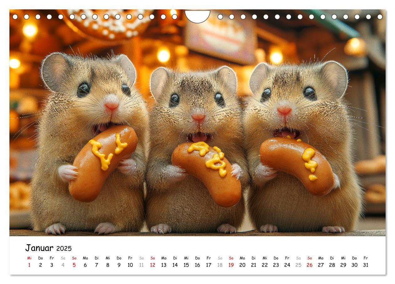 Bild: 9783457211618 | Hamster im Freizeitpark - Lustiger Kalender mit Jahrmarkt-Motiven...