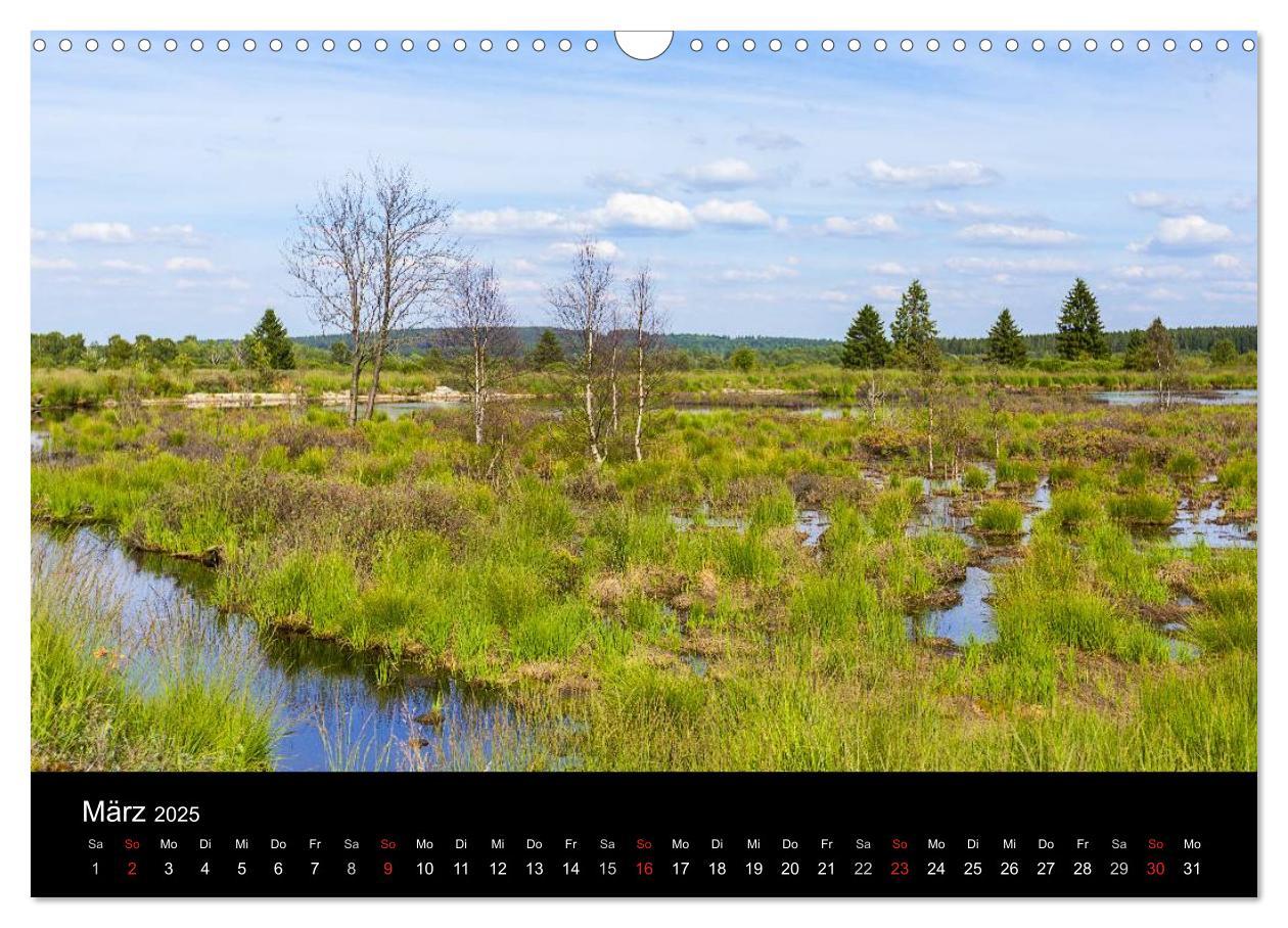 Bild: 9783435557707 | HOHES VENN - Einblicke in ein Hochmoor (Wandkalender 2025 DIN A3...