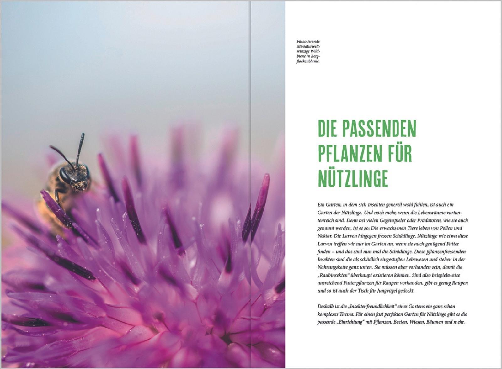 Bild: 9783784356020 | MDR Garten - Richtig gärtnern für Nützlinge | Brigitte Goss | Buch