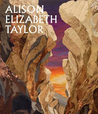 Cover: 9781636810546 | Alison Elizabeth Taylor: The Sum of It | Allison Kemmerer | Buch