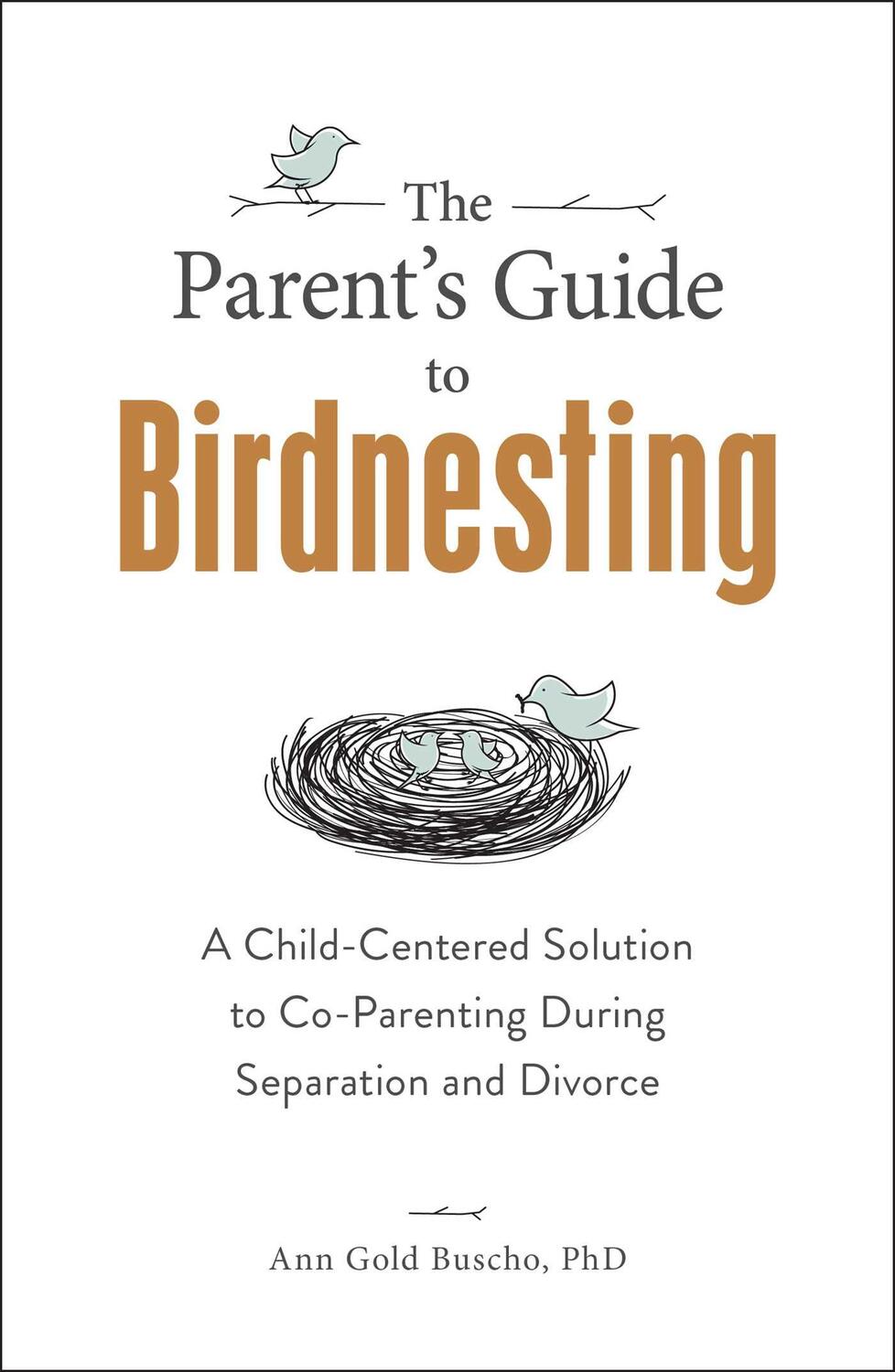 Cover: 9781507214091 | The Parent's Guide to Birdnesting | Ann Gold Buscho | Taschenbuch