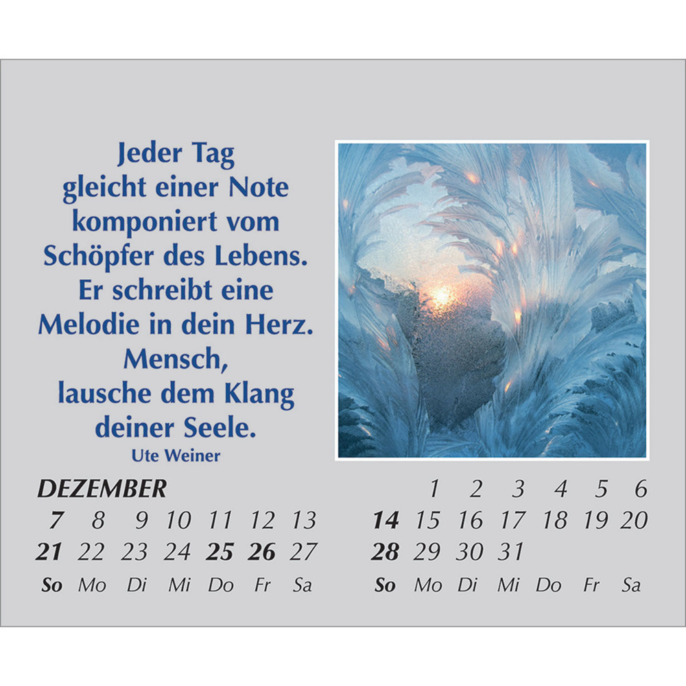 Bild: 9783754861554 | Hoffnung für jeden Tag 2025 | Kalender | Spiralbindung. Spiralbindung