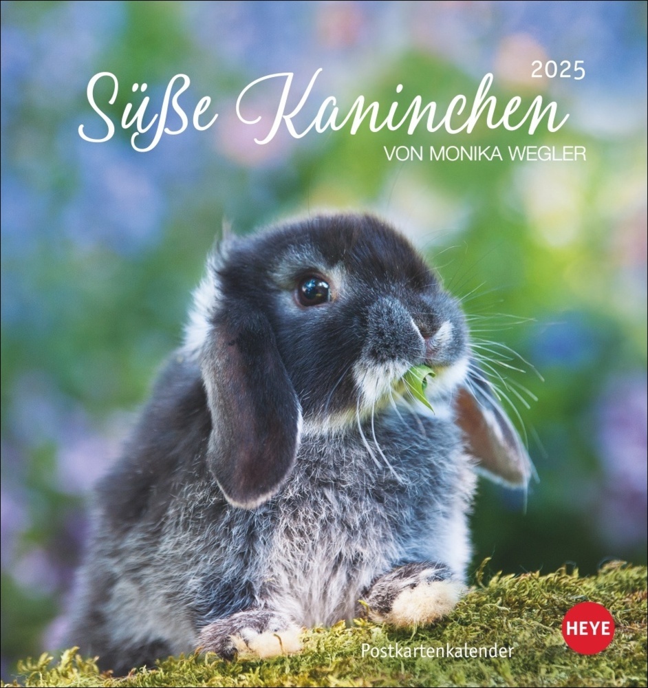 Cover: 9783756407057 | Süße Kaninchen Postkartenkalender 2025 | Monika Wegler | Kalender