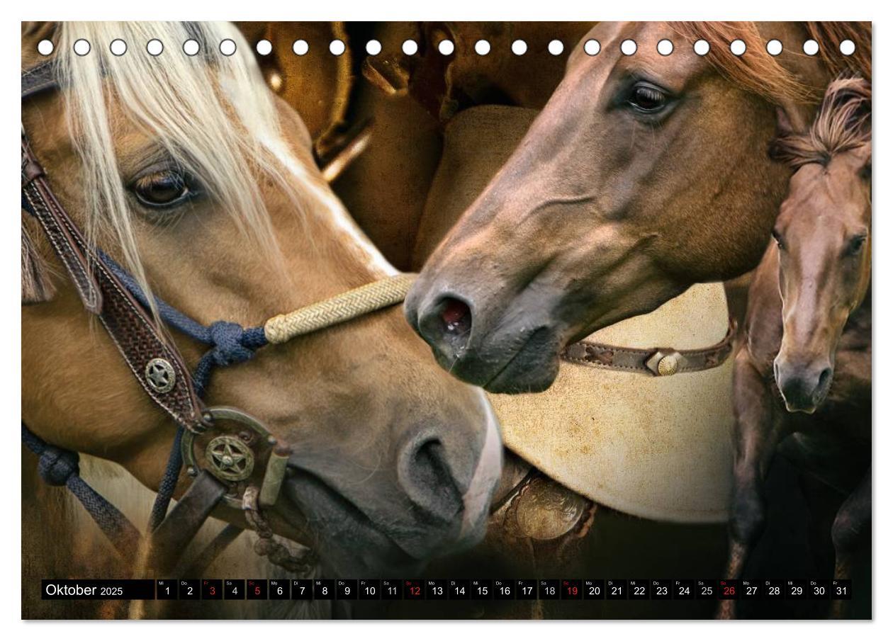 Bild: 9783435489091 | Western-Feeling (Tischkalender 2025 DIN A5 quer), CALVENDO...