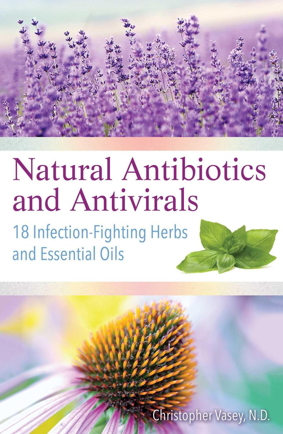 Cover: 9781620557358 | Natural Antibiotics and Antivirals | Christopher Vasey | Taschenbuch