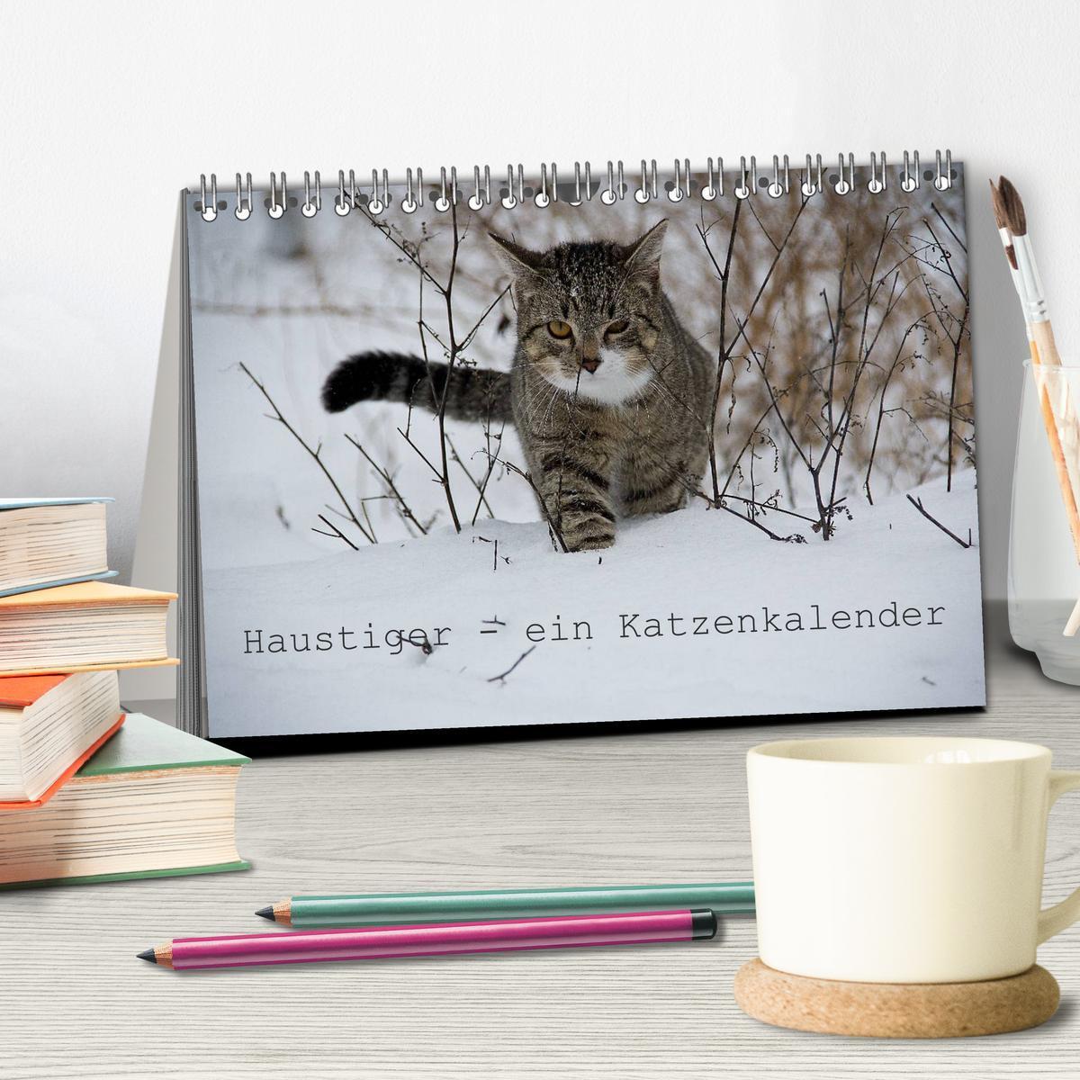 Bild: 9783435519729 | Haustiger - Ein Katzenkalender (Tischkalender 2025 DIN A5 quer),...