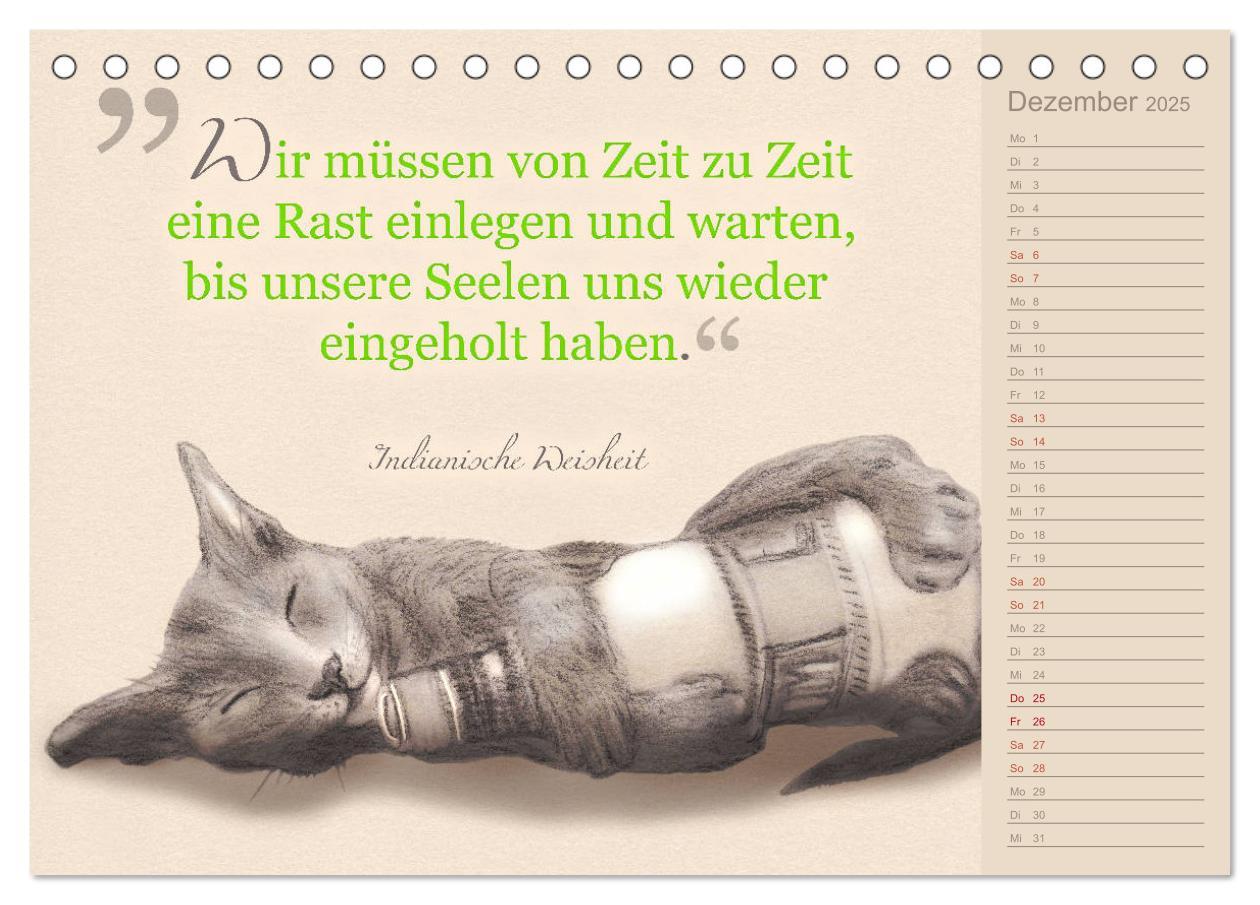 Bild: 9783435454396 | Von Katzen lernen (Tischkalender 2025 DIN A5 quer), CALVENDO...