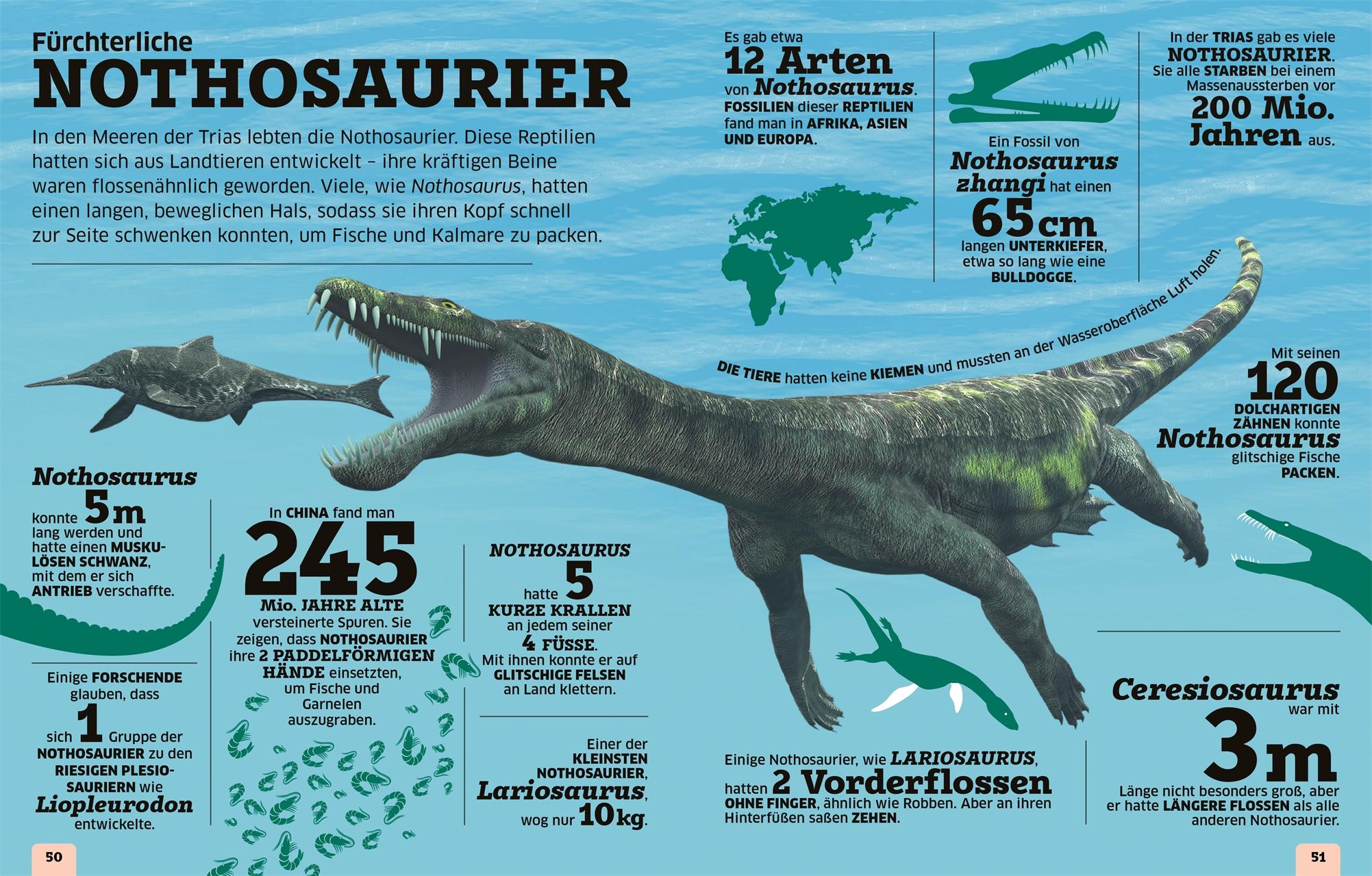 Bild: 9783831050185 | Unsere Welt in Zahlen. Dinosaurier und andere Tiere der Urzeit | Kids