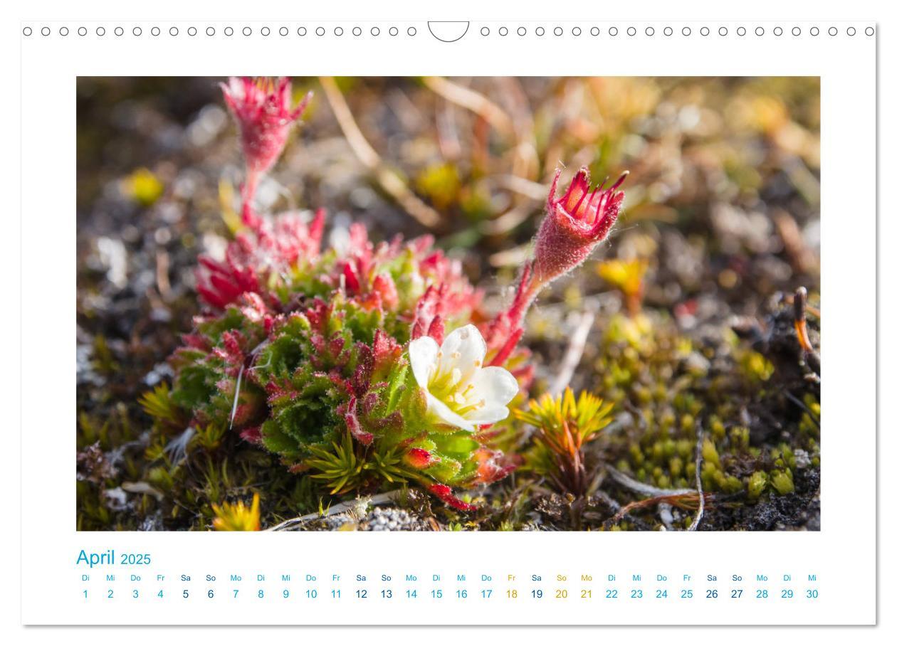 Bild: 9783435340590 | Spitzbergen - Landschaft - Eis - Tierwelt (Wandkalender 2025 DIN A3...