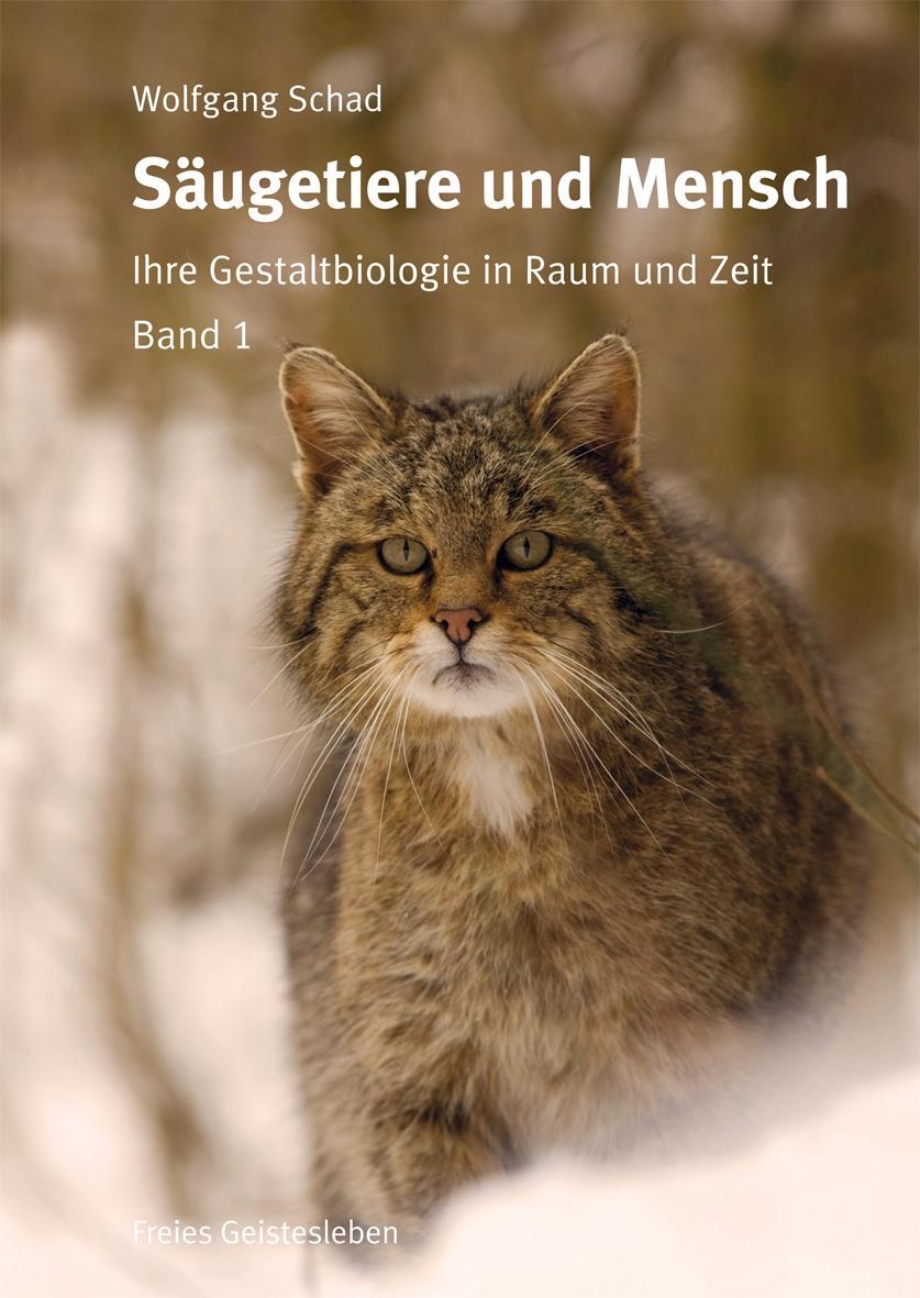 Cover: 9783772511509 | Säugetiere und Mensch. 2 Bände | Ihre Gestaltbiologie in Raum und Zeit