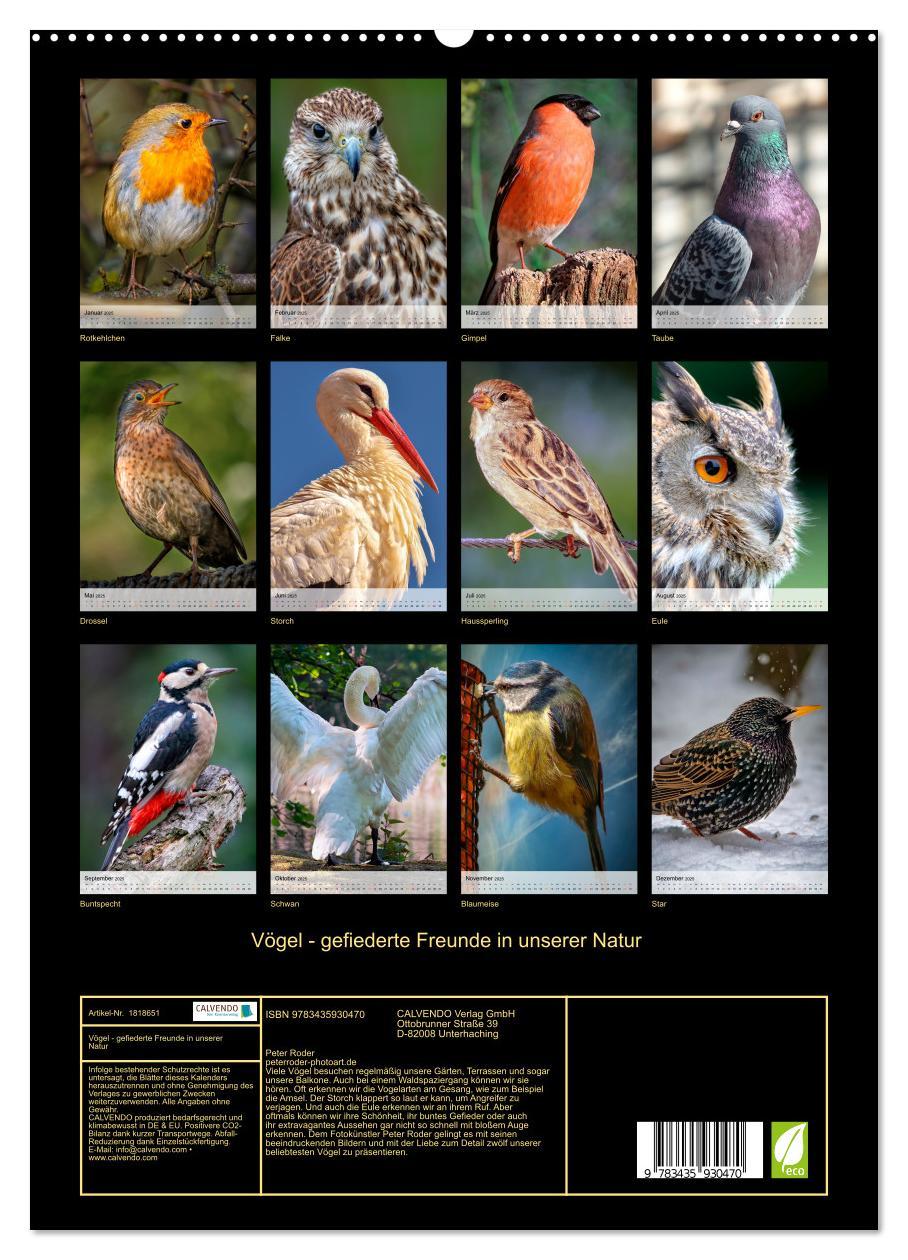 Bild: 9783435930470 | Vögel - gefiederte Freunde in unserer Natur (Wandkalender 2025 DIN...