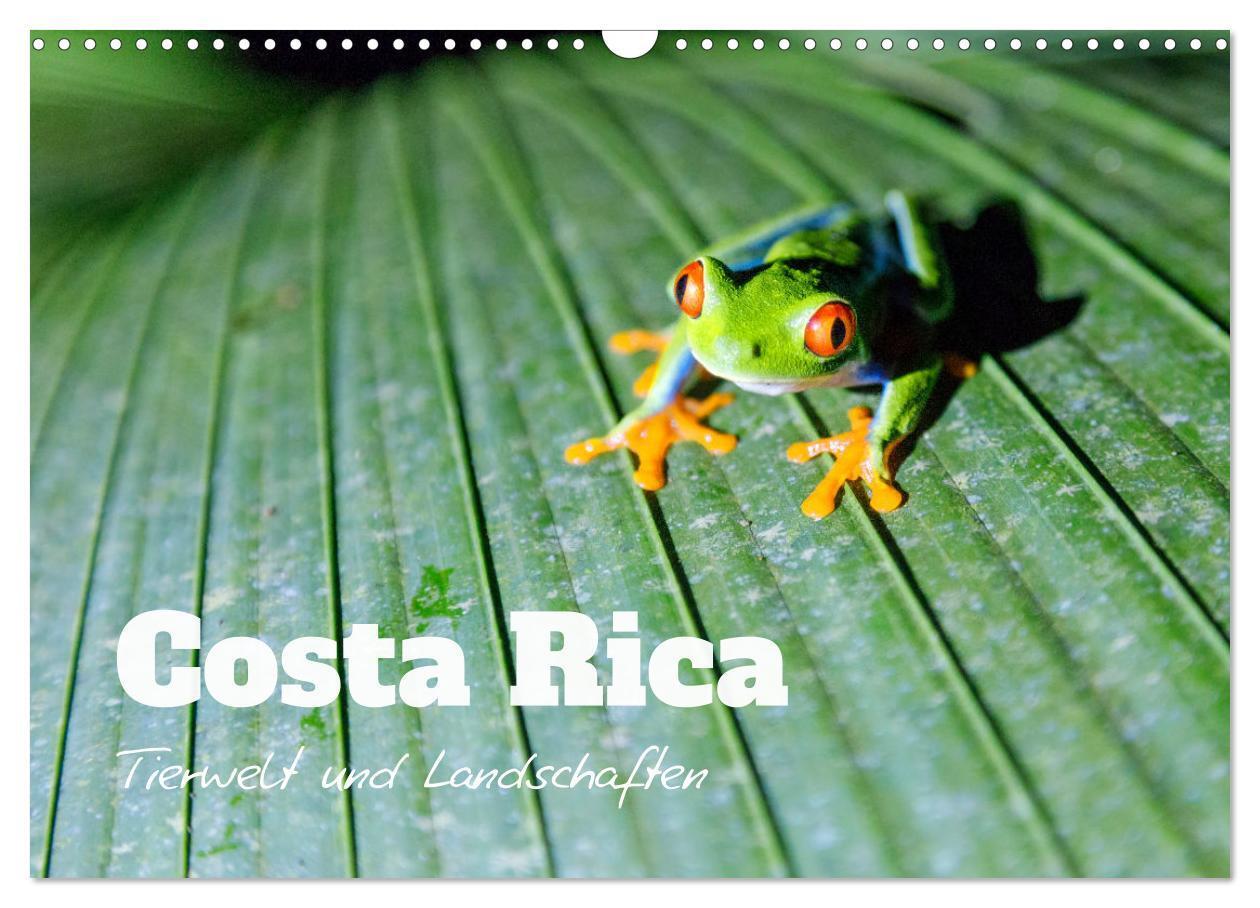 Cover: 9783675595163 | Costa Rica - Tierwelt und Landschaften (Wandkalender 2024 DIN A3...