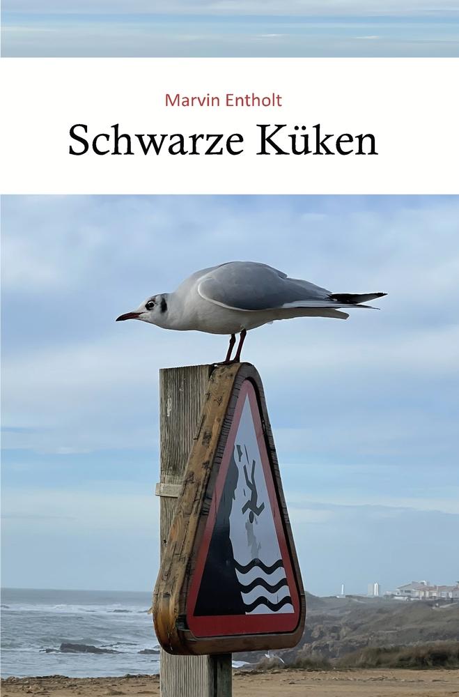 Cover: 9783757972264 | Schwarze Küken | Marvin Entholt | Taschenbuch | Paperback | 196 S.