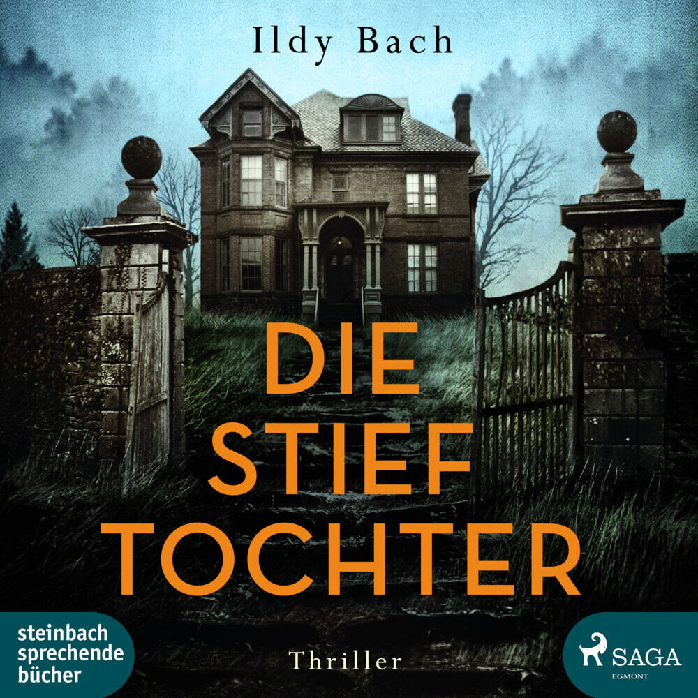 Cover: 9783869745619 | Die Stieftochter, 2 Audio-CD, MP3 | Thriller | Ildy Bach | Audio-CD