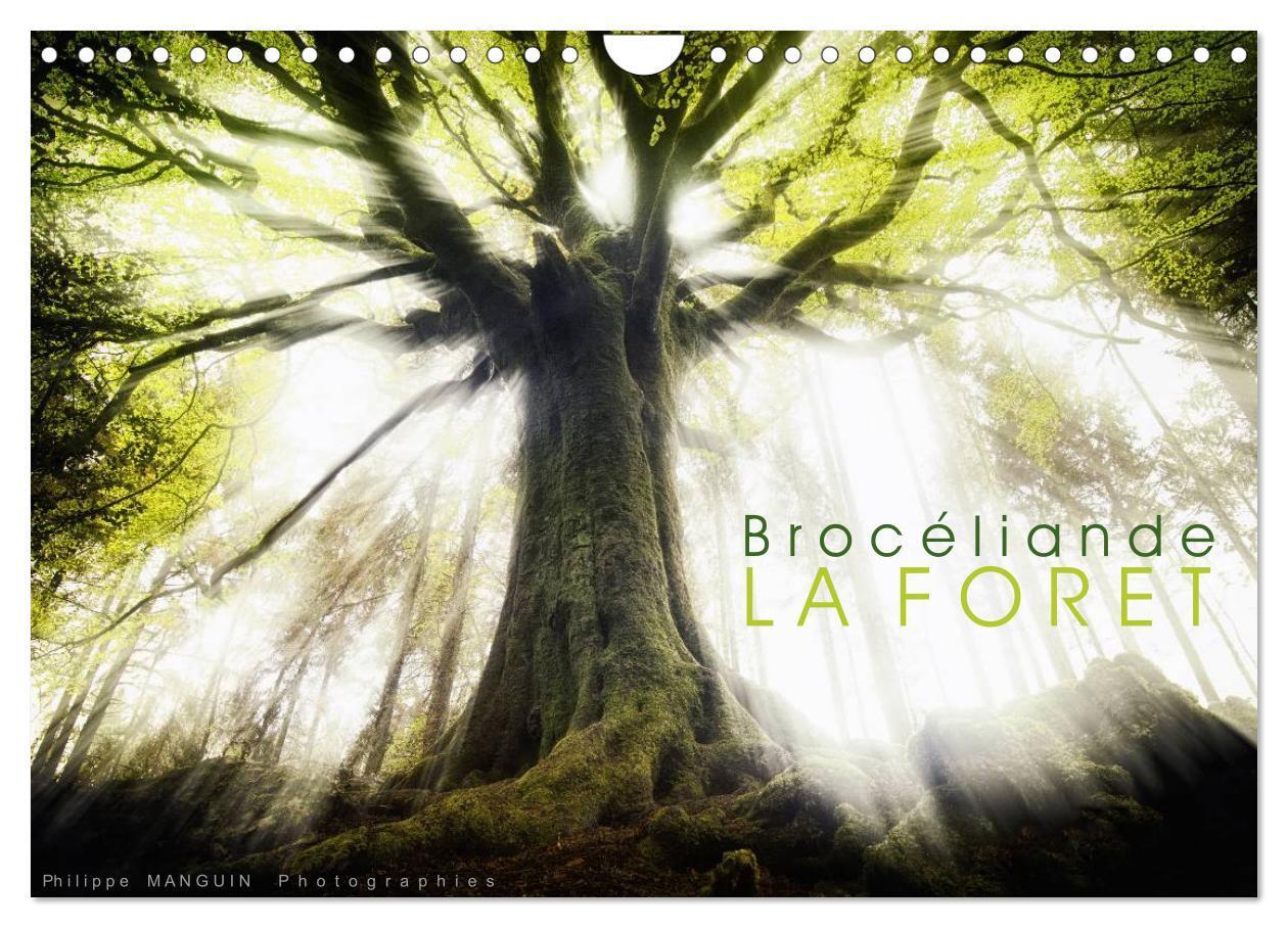 Cover: 9781325963843 | BROCELIANDE, la forêt (Calendrier mural 2025 DIN A4 vertical),...