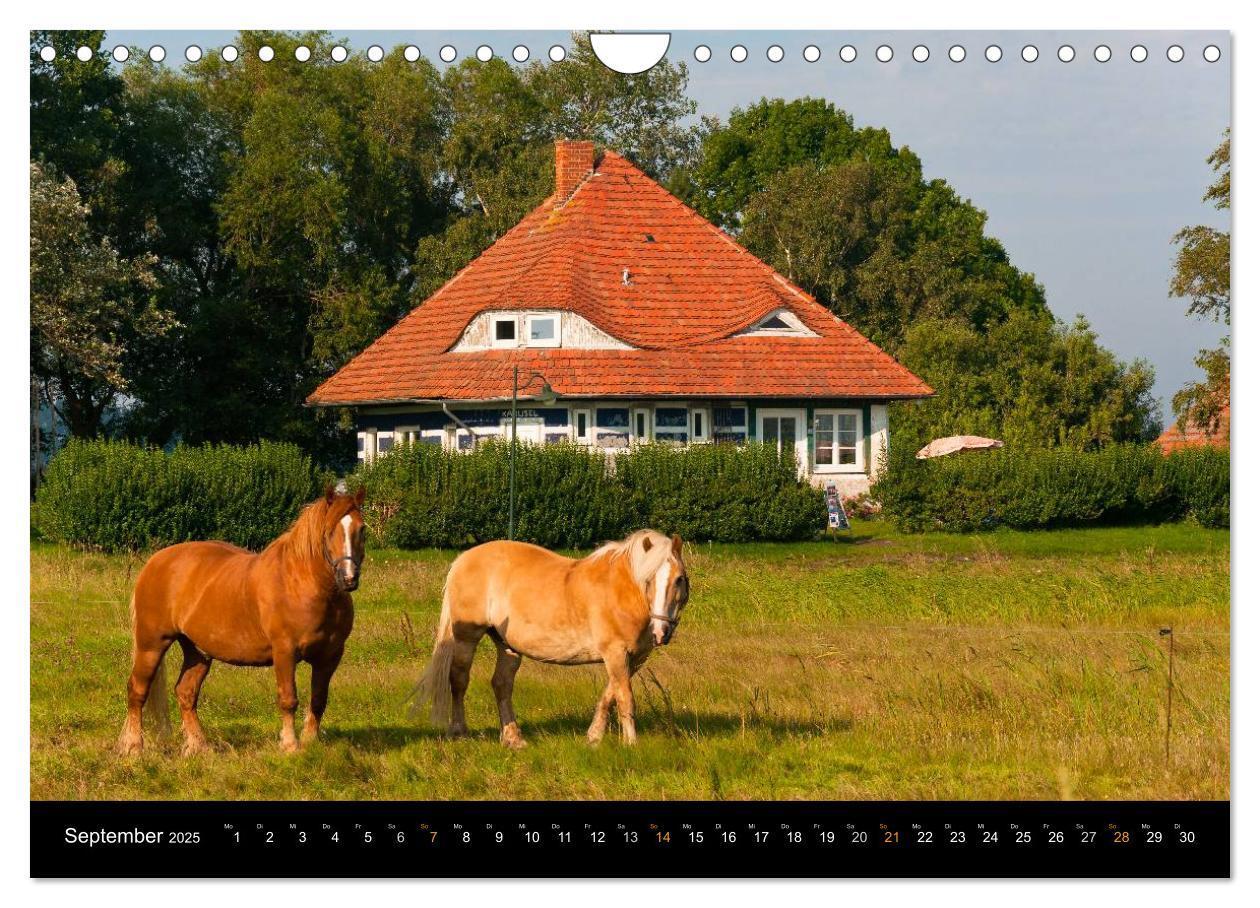 Bild: 9783435603145 | Sehnsucht Hiddensee 2025 (Wandkalender 2025 DIN A4 quer), CALVENDO...