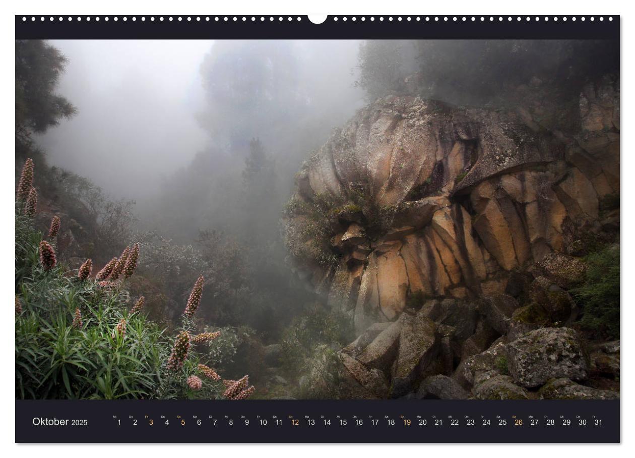 Bild: 9783435399970 | wildes Teneriffa (Wandkalender 2025 DIN A2 quer), CALVENDO...