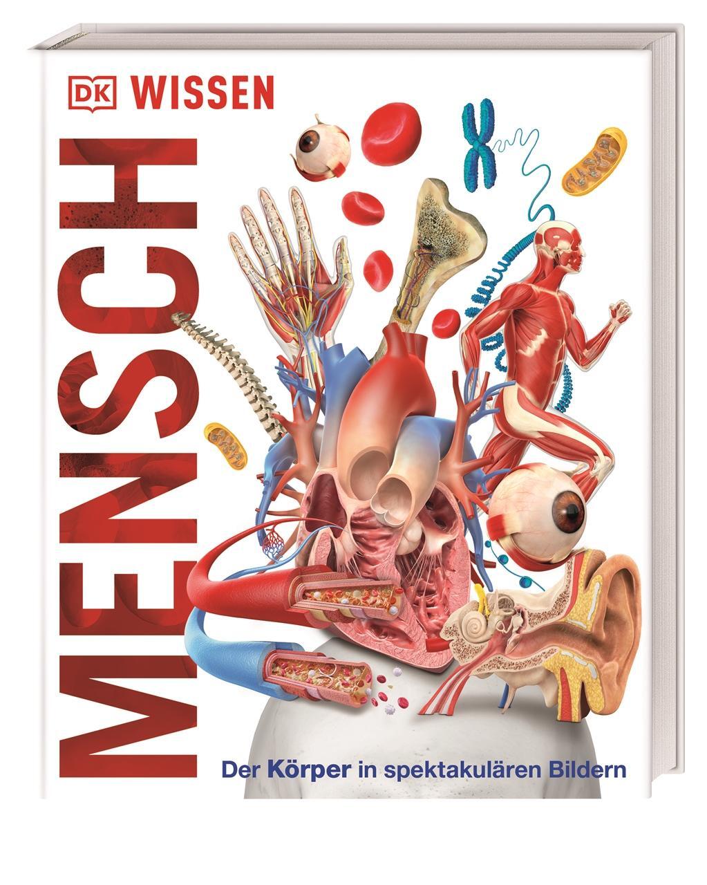 Cover: 9783831034604 | Wissen - Mensch | Der Körper in spektakulären Bildern | Buch | 208 S.
