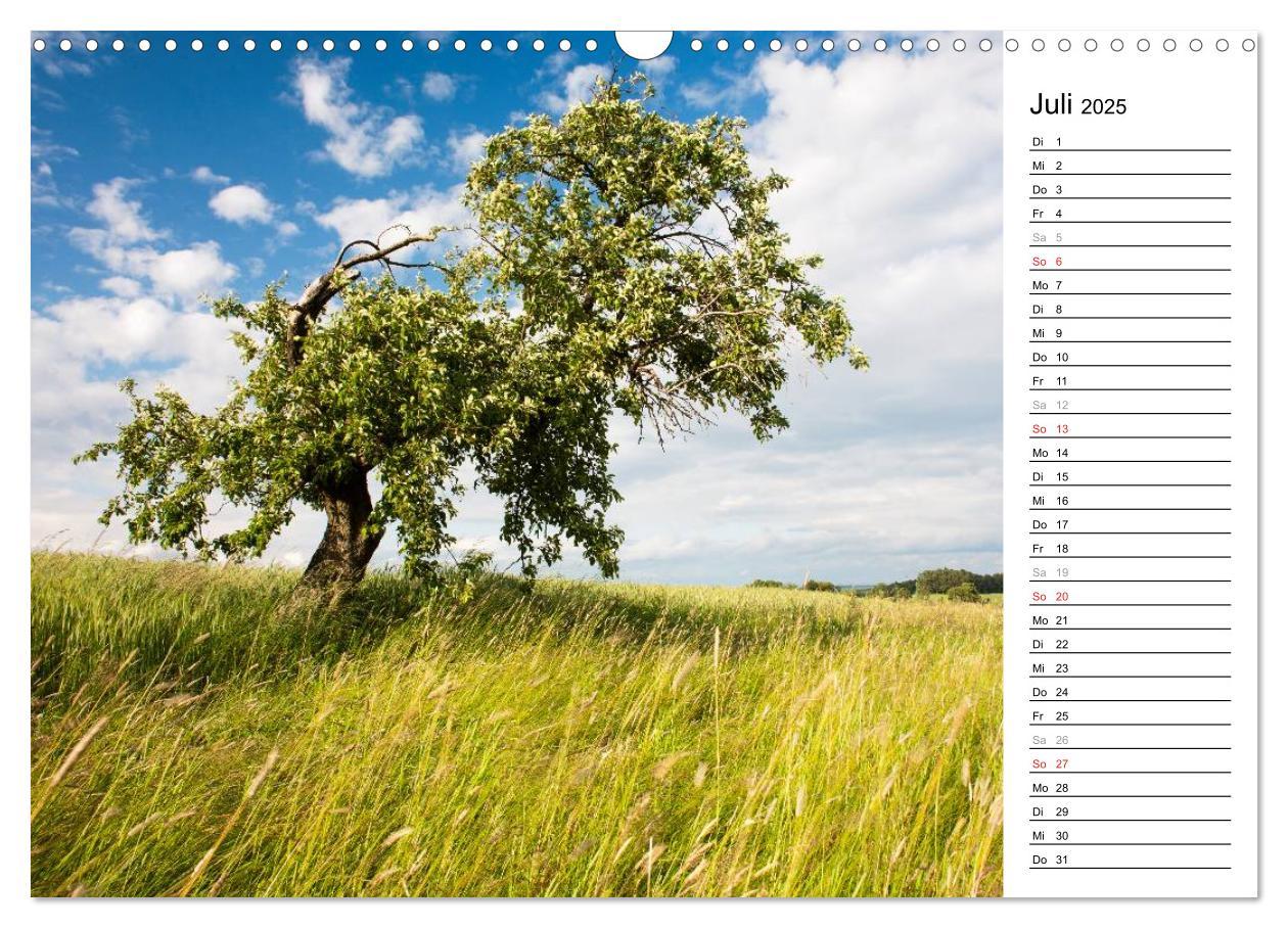 Bild: 9783435542062 | DER STEIGERWALD - Impressionen einer Landschaft (Wandkalender 2025...