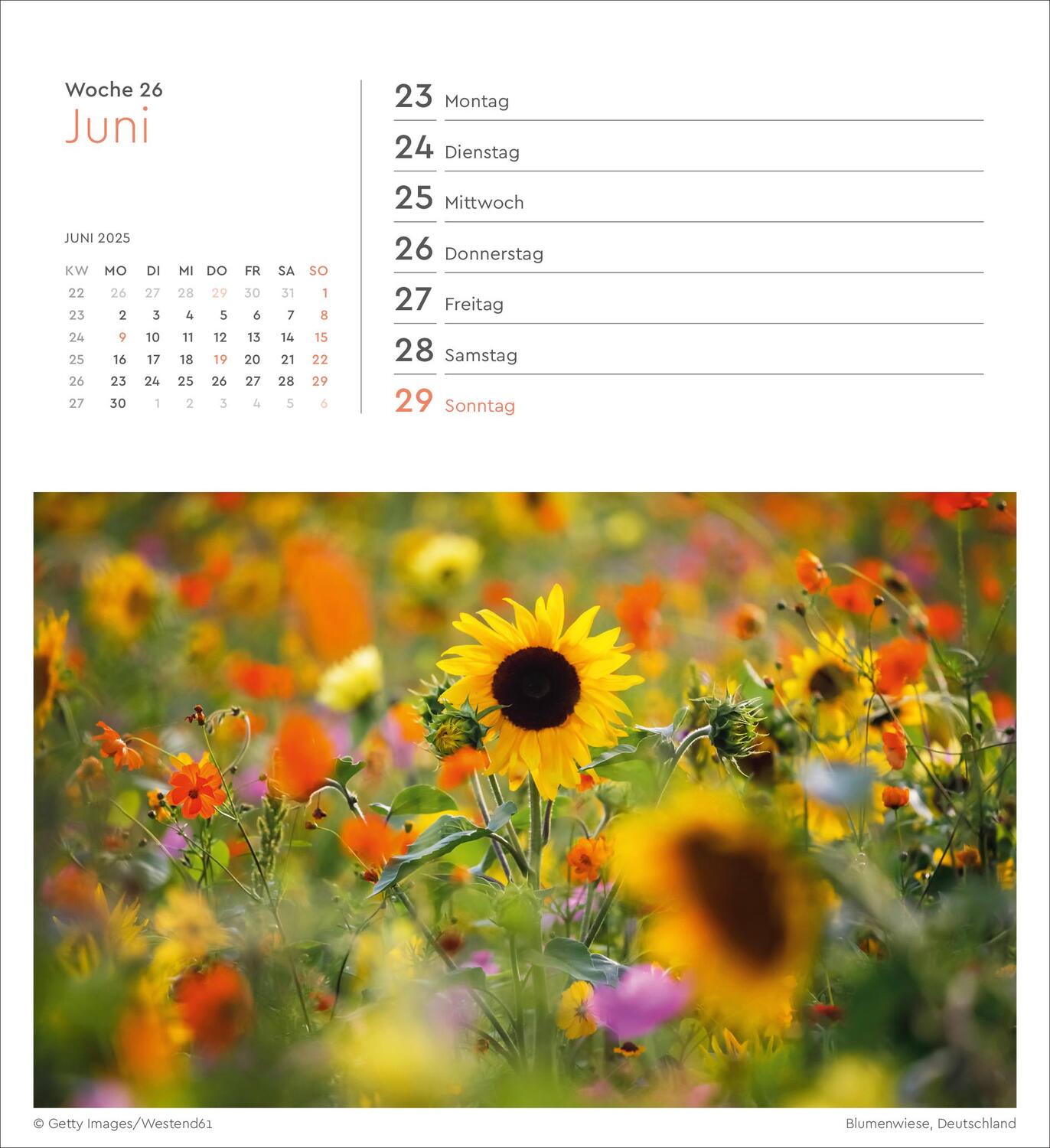 Bild: 9783965913905 | Summertime - KUNTH Postkartenkalender 2025 | Kalender | 53 S. | 2025