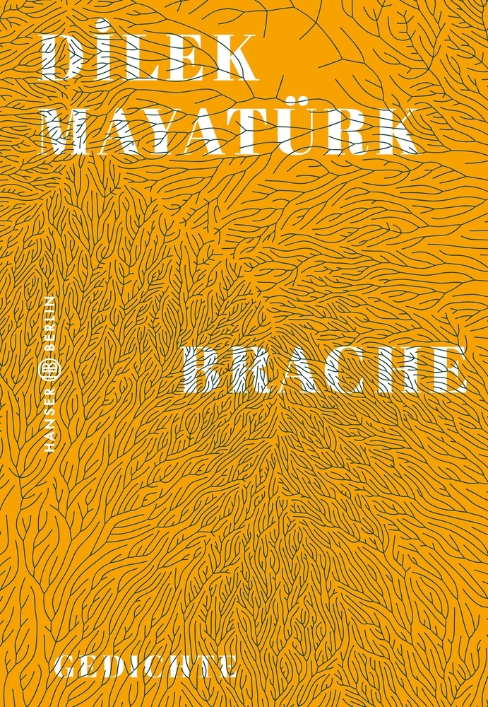 Cover: 9783446267862 | Brache | Gedichte | Dilek Mayatürk | Buch | 112 S. | Deutsch | 2020