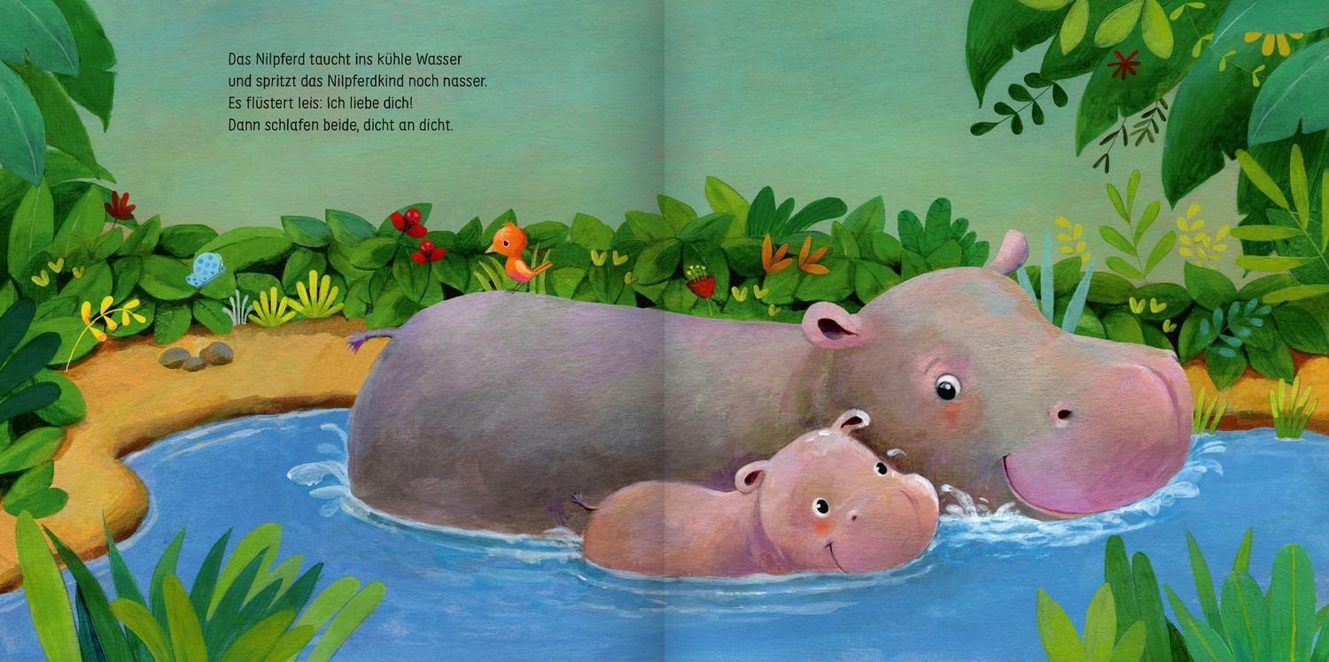 Bild: 9783751200868 | Wie kleine Tiere schlafen gehen | Mein Bilderbuch | Brügge | Buch