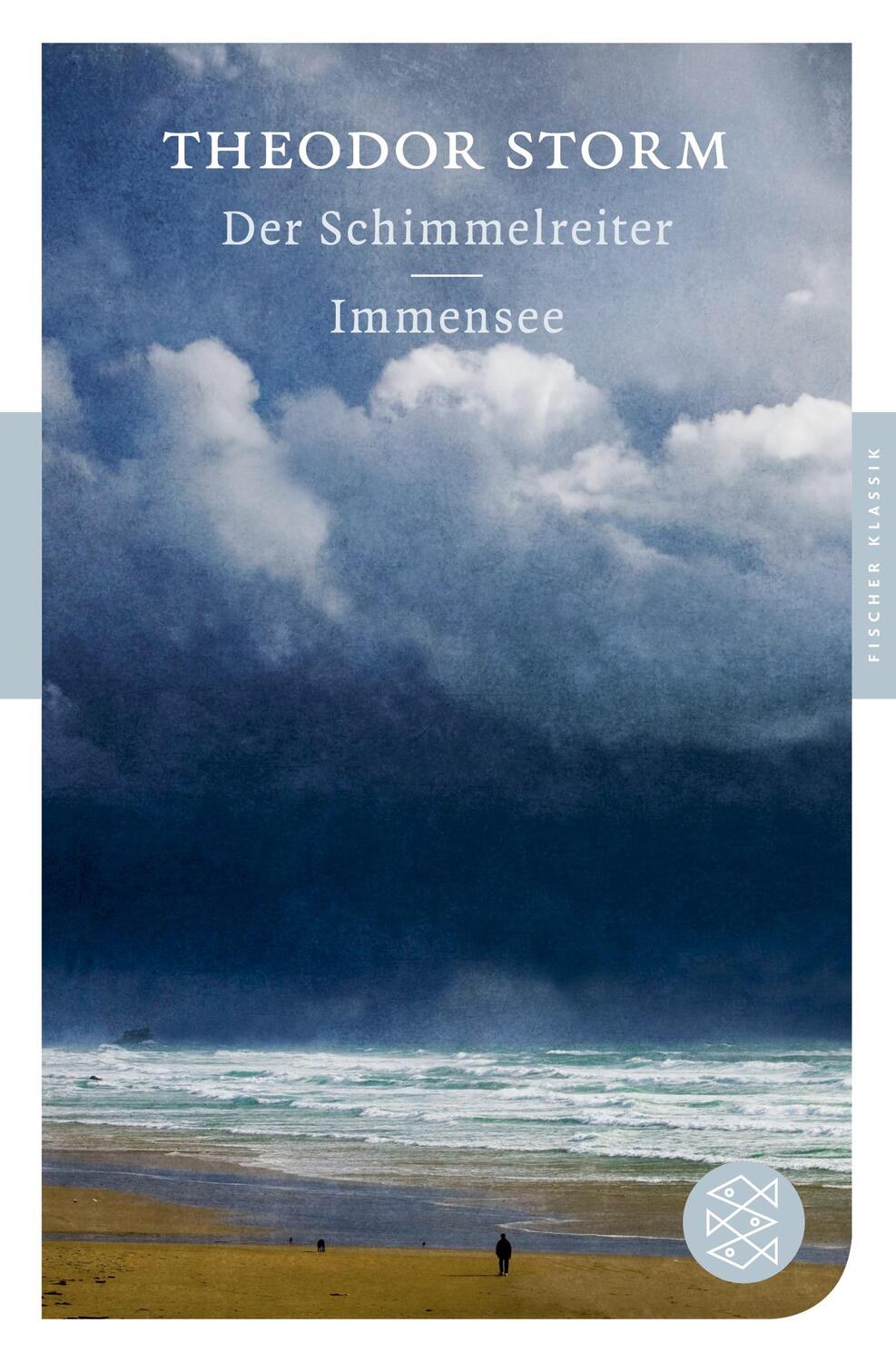 Cover: 9783596900367 | Der Schimmelreiter / Immensee | Erzählungen | Theodor Storm | Buch