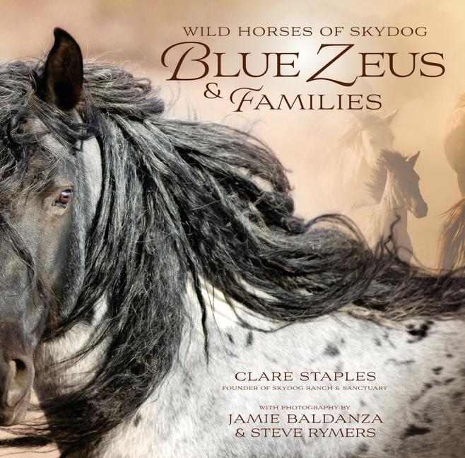Cover: 9781646012138 | Wild Horses of Skydog | Blue Zeus and Families | Clare Staples | Buch
