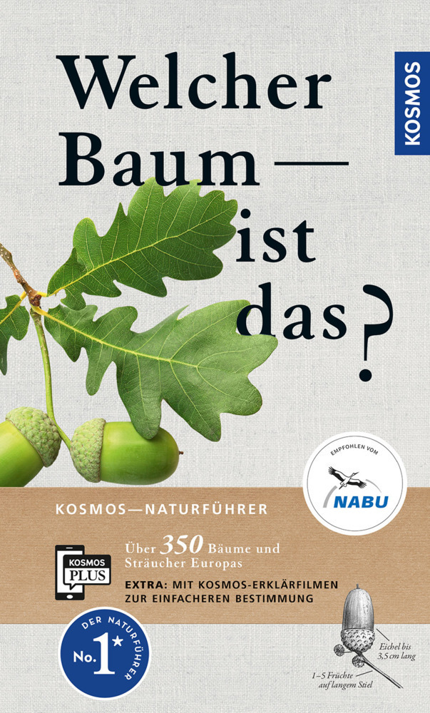 Cover: 9783440164495 | Welcher Baum ist das? | Margot Spohn (u. a.) | Taschenbuch | 256 S.
