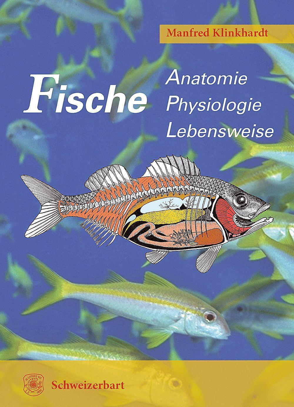 Cover: 9783510655434 | Fische | Anatomie, Physiologie, Lebensweise | Manfred Klinkhardt