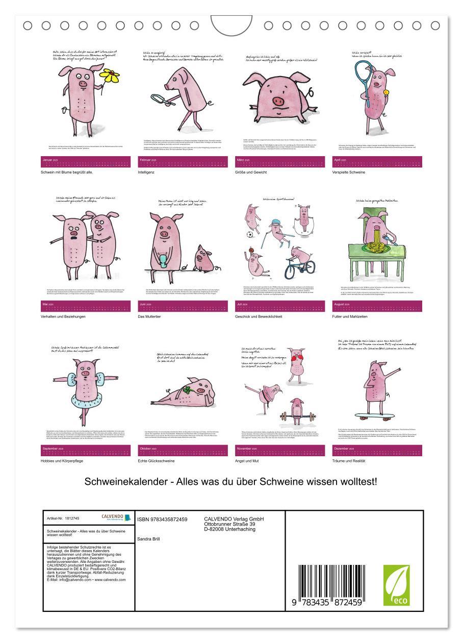 Bild: 9783435872459 | Schweinekalender - Alles was du über Schweine wissen wolltest!...