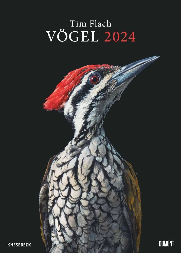 Cover: 4250809651156 | Tim Flach: Vögel 2024 - Posterkalender von DUMONT- Vogel-Porträts...