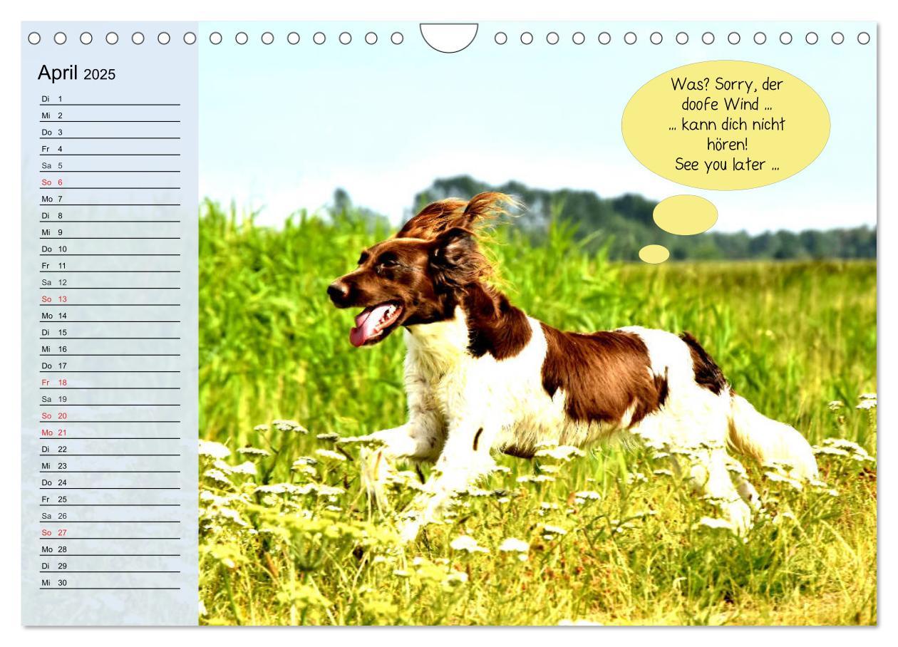 Bild: 9783435184897 | Hurra! Wir gehen Gassi! Abenteuer mit dem Hund! (Wandkalender 2025...