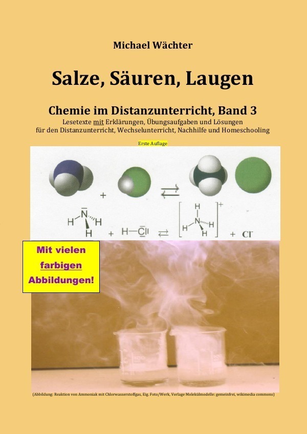 Cover: 9783753159218 | Salze Säuren Laugen | Chemie im Distanzunterricht, Band 3 | Wächter