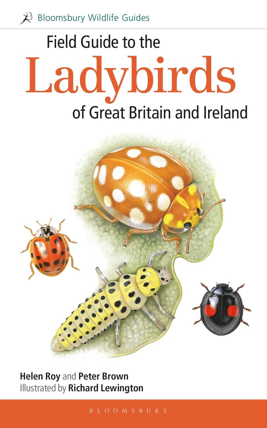 Cover: 9781472935687 | Field Guide to the Ladybirds of Great Britain and Ireland | Buch