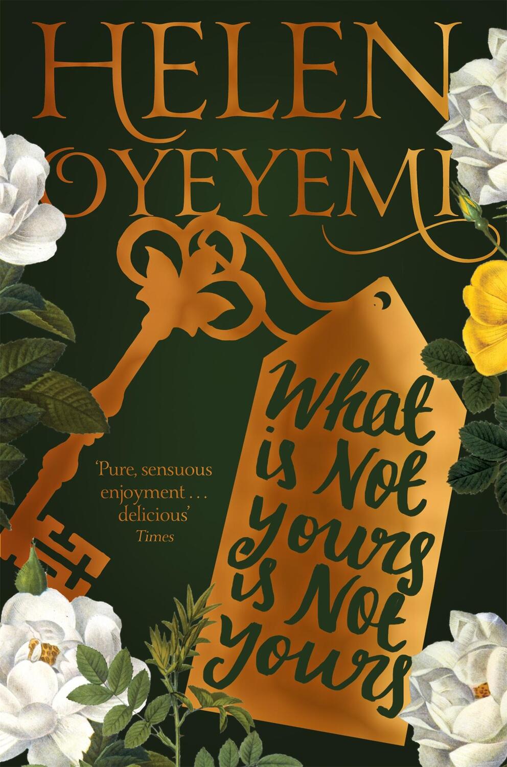 Cover: 9781447299394 | What Is Not Yours Is Not Yours | Helen Oyeyemi | Taschenbuch | 2017