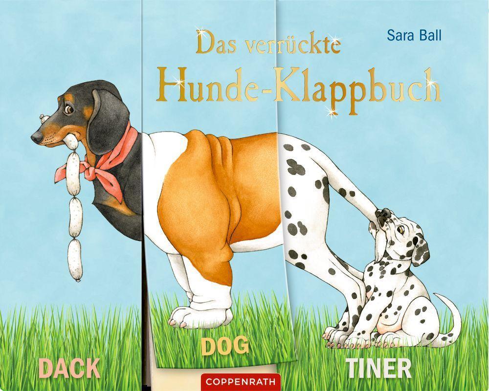 Bild: 9783649641995 | Das verrückte Hunde-Klappbuch | Dr. Stefanie Zysk | Buch | 26 S.