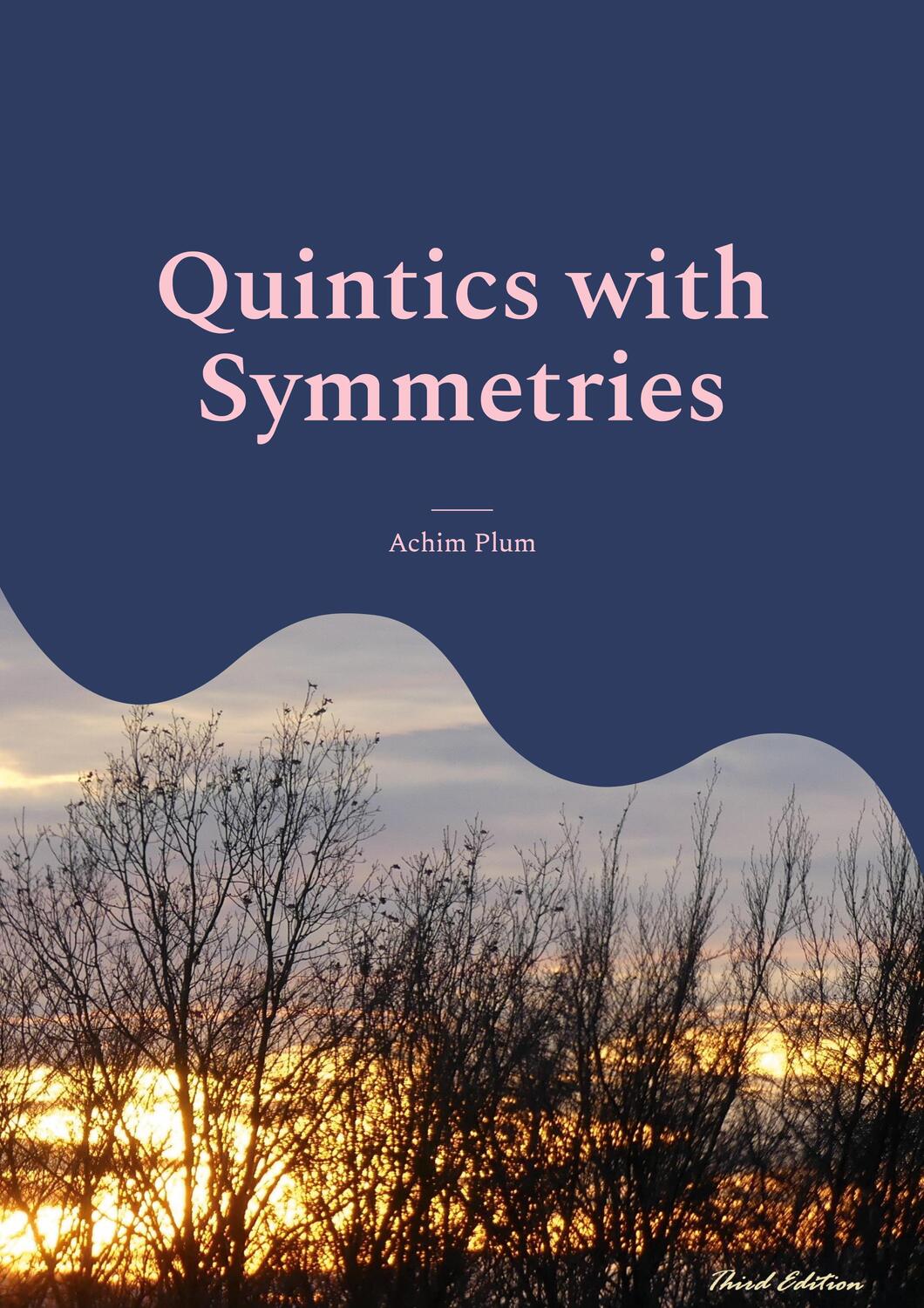 Cover: 9783755714798 | Quintics with Symmetries | Achim Plum | Taschenbuch | Paperback | 2022