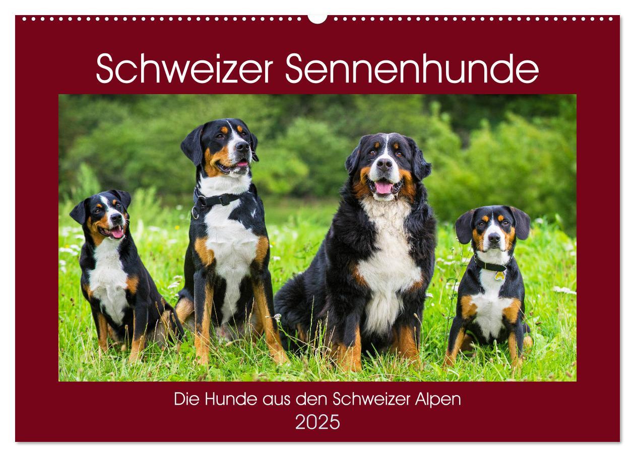 Cover: 9783435312597 | Schweizer Sennenhunde - die Hunde aus den Schweizer Alpen...