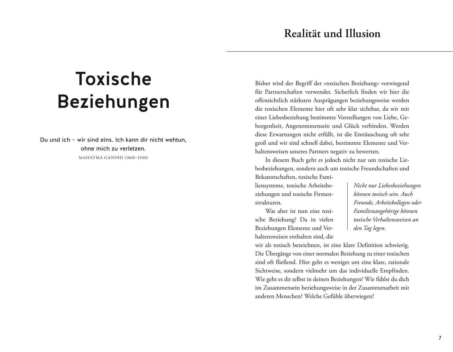 Bild: 9783833880315 | Toxische Beziehungen schamanisch heilen | Stefan Limmer | Taschenbuch