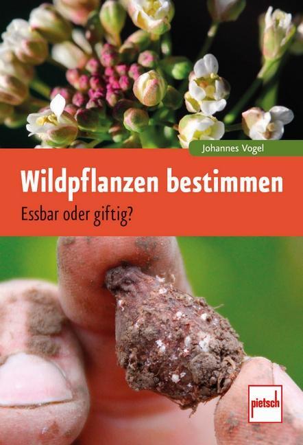 Cover: 9783613508064 | Wildpflanzen bestimmen | Essbar oder giftig? | Johannes Vogel | Buch