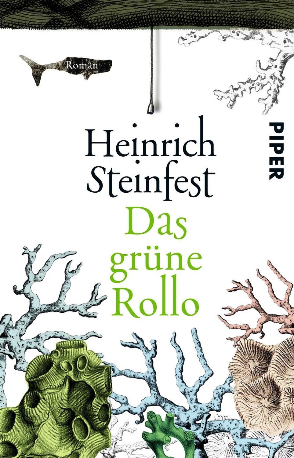 Cover: 9783492309332 | Das grüne Rollo | Heinrich Steinfest | Taschenbuch | 288 S. | Deutsch