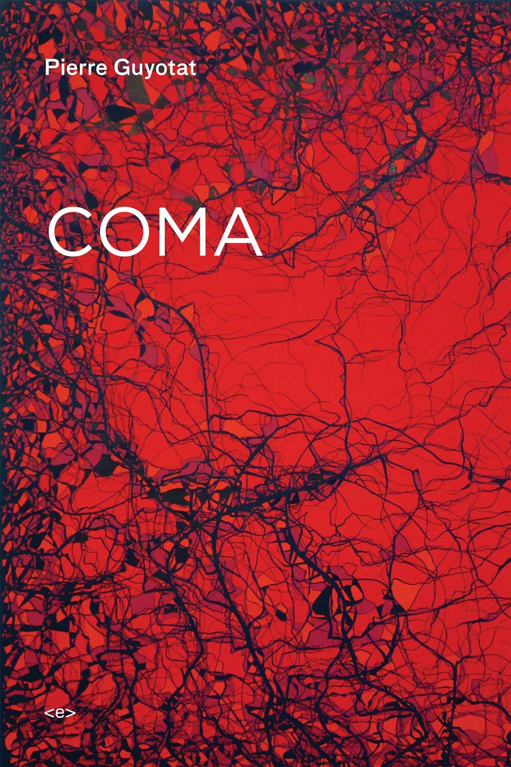 Cover: 9781584350897 | Coma | Pierre Guyotat | Taschenbuch | Semiotext(e) / Native Agents