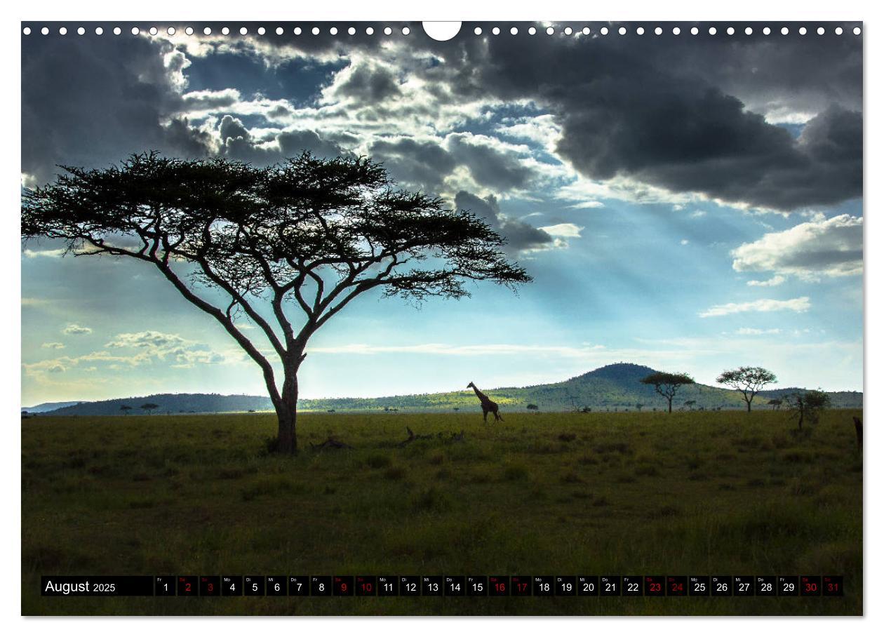 Bild: 9783435342167 | Tansania - Tierwanderung in der Serengeti (Wandkalender 2025 DIN A3...