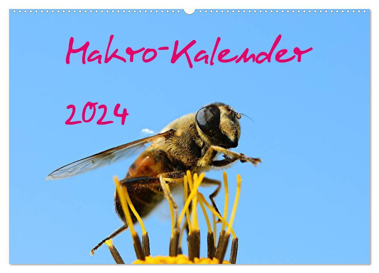 Cover: 9783383588341 | Makro-Kalender 2024 (Wandkalender 2024 DIN A2 quer), CALVENDO...