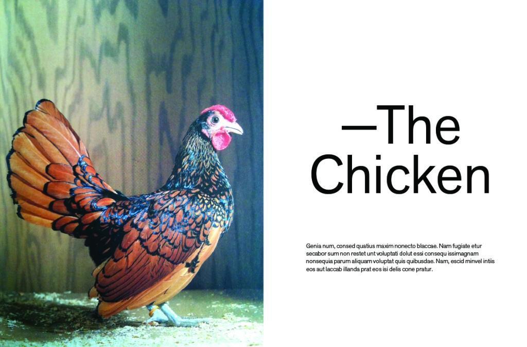 Bild: 9780714876450 | Chicken and Charcoal | Yakitori, Yardbird, Hong Kong | Matt Abergel