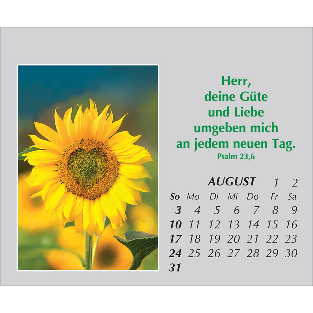 Bild: 9783754861059 | Freude für jeden Tag 2025 | Kalender | Spiralbindung. Spiralbindung