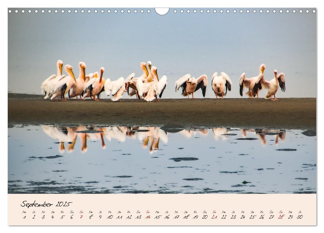 Bild: 9783435032327 | Namibia - Vom Sossusvlei bis zum Etosha Nationalpark (Wandkalender...