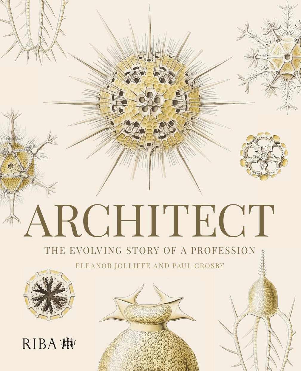 Cover: 9781914124853 | Architect: The evolving story of a profession | Jolliffe (u. a.)