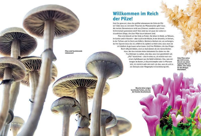 Bild: 9783866594845 | Entdecke die Pilze | Marco Thines | Buch | 64 S. | Deutsch | 2022